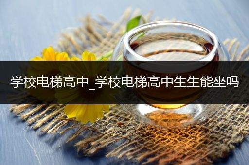 学校电梯高中_学校电梯高中生生能坐吗