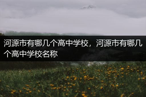 河源市有哪几个高中学校，河源市有哪几个高中学校名称