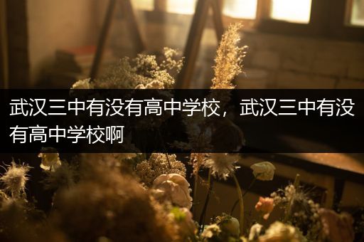武汉三中有没有高中学校，武汉三中有没有高中学校啊