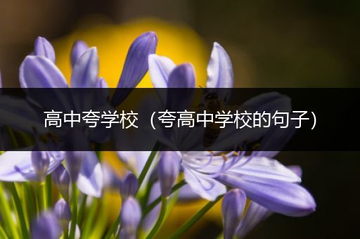 高中夸学校（夸高中学校的句子）