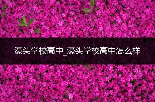 濠头学校高中_濠头学校高中怎么样