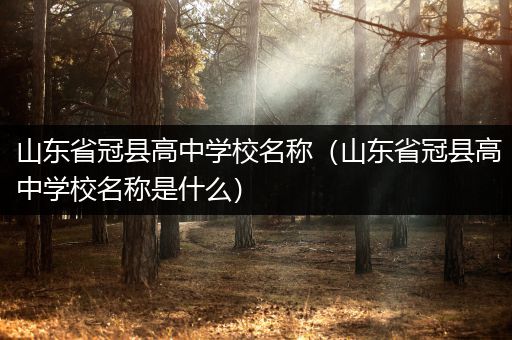 山东省冠县高中学校名称（山东省冠县高中学校名称是什么）