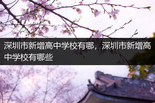 深圳市新增高中学校有哪，深圳市新增高中学校有哪些