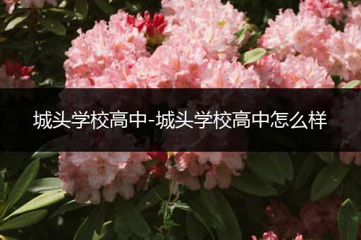 城头学校高中-城头学校高中怎么样