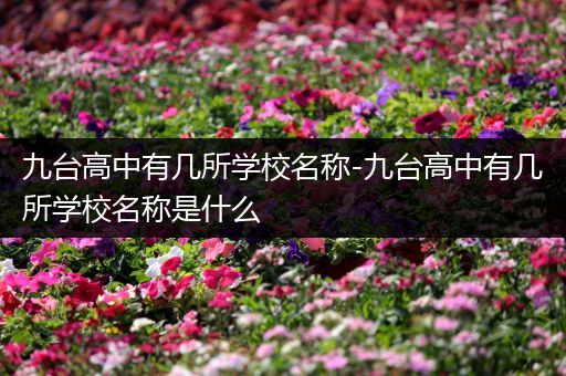 九台高中有几所学校名称-九台高中有几所学校名称是什么