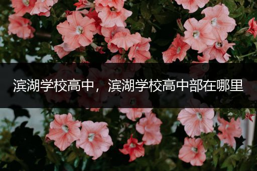 滨湖学校高中，滨湖学校高中部在哪里