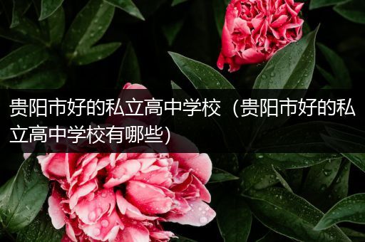 贵阳市好的私立高中学校（贵阳市好的私立高中学校有哪些）