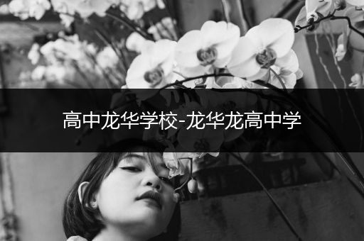 高中龙华学校-龙华龙高中学