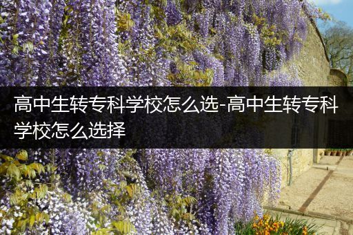 高中生转专科学校怎么选-高中生转专科学校怎么选择