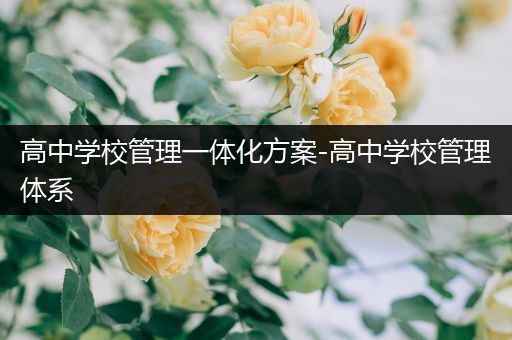高中学校管理一体化方案-高中学校管理体系