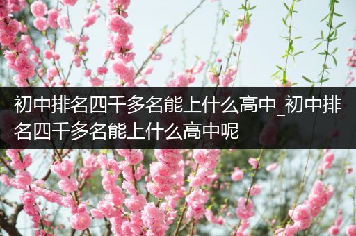 初中排名四千多名能上什么高中_初中排名四千多名能上什么高中呢