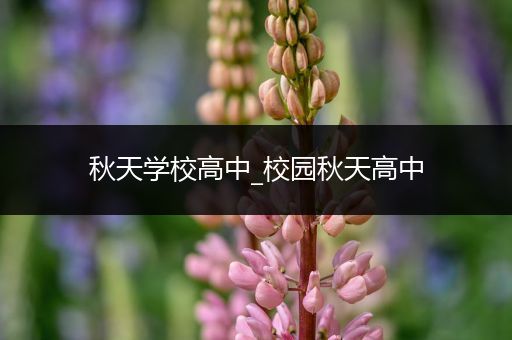 秋天学校高中_校园秋天高中