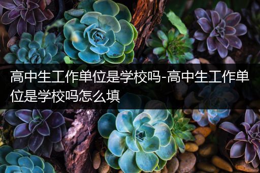 高中生工作单位是学校吗-高中生工作单位是学校吗怎么填