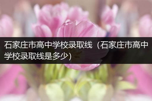 石家庄市高中学校录取线（石家庄市高中学校录取线是多少）