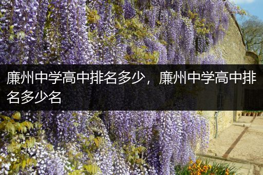 廉州中学高中排名多少，廉州中学高中排名多少名