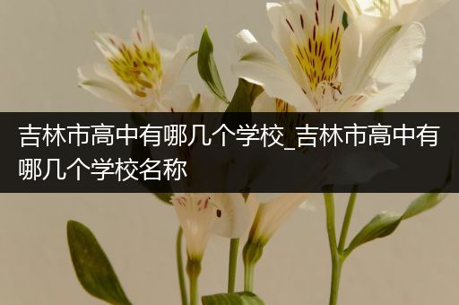 吉林市高中有哪几个学校_吉林市高中有哪几个学校名称