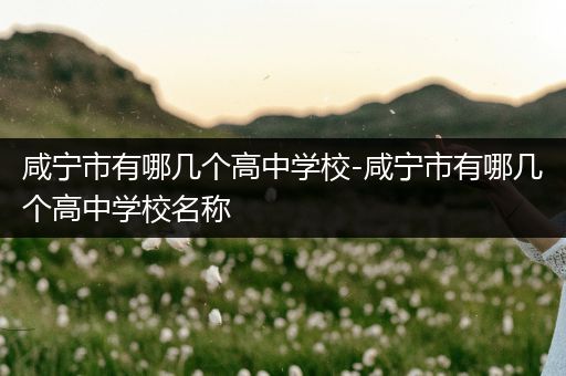 咸宁市有哪几个高中学校-咸宁市有哪几个高中学校名称