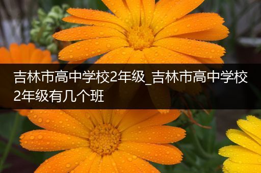 吉林市高中学校2年级_吉林市高中学校2年级有几个班
