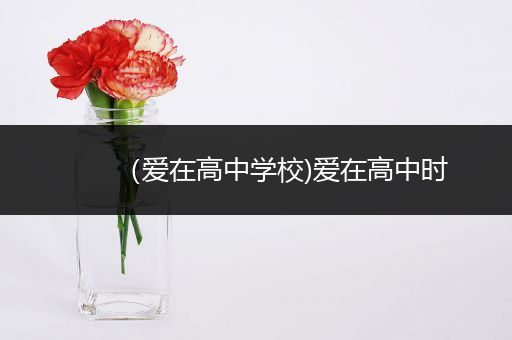 （爱在高中学校)爱在高中时