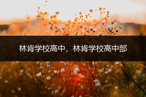 林肯学校高中，林肯学校高中部