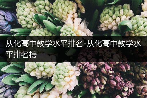 从化高中教学水平排名-从化高中教学水平排名榜