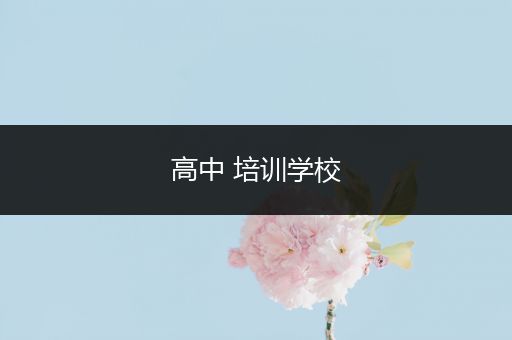 高中 培训学校