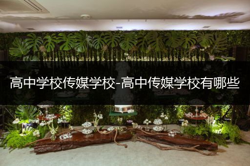 高中学校传媒学校-高中传媒学校有哪些