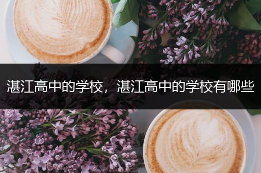 湛江高中的学校，湛江高中的学校有哪些