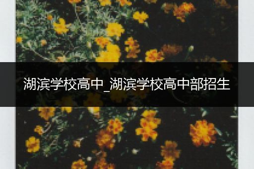 湖滨学校高中_湖滨学校高中部招生