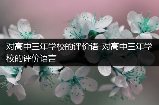 对高中三年学校的评价语-对高中三年学校的评价语言