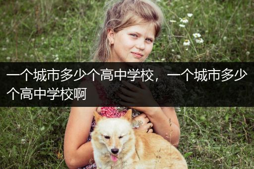 一个城市多少个高中学校，一个城市多少个高中学校啊