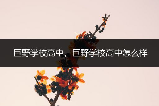 巨野学校高中，巨野学校高中怎么样