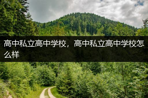 高中私立高中学校，高中私立高中学校怎么样