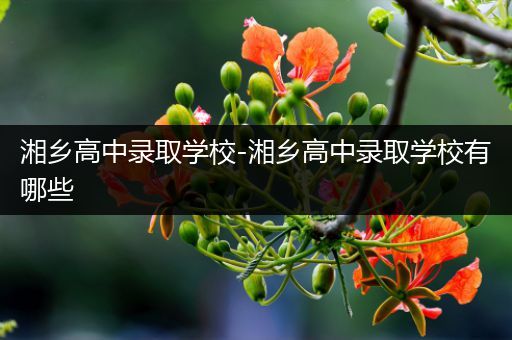 湘乡高中录取学校-湘乡高中录取学校有哪些