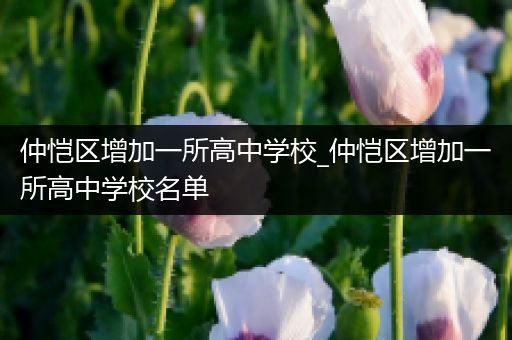 仲恺区增加一所高中学校_仲恺区增加一所高中学校名单