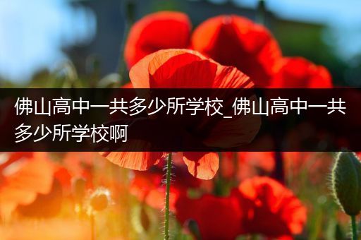 佛山高中一共多少所学校_佛山高中一共多少所学校啊