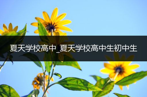 夏天学校高中_夏天学校高中生初中生