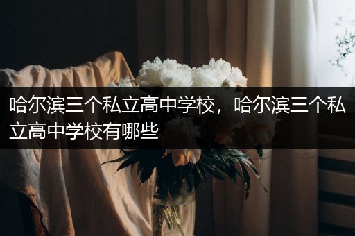 哈尔滨三个私立高中学校，哈尔滨三个私立高中学校有哪些
