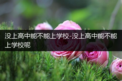 没上高中能不能上学校-没上高中能不能上学校呢