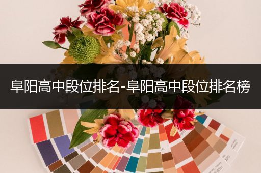 阜阳高中段位排名-阜阳高中段位排名榜