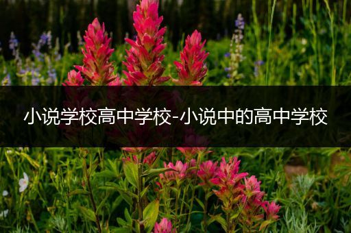小说学校高中学校-小说中的高中学校