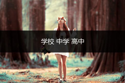学校 中学 高中