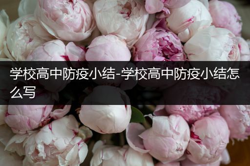 学校高中防疫小结-学校高中防疫小结怎么写