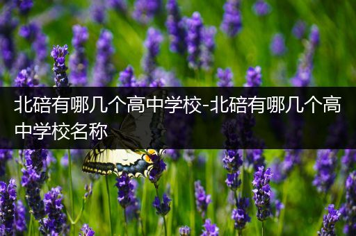 北碚有哪几个高中学校-北碚有哪几个高中学校名称