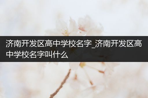 济南开发区高中学校名字_济南开发区高中学校名字叫什么