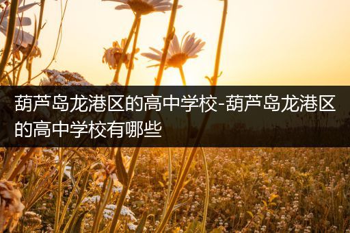 葫芦岛龙港区的高中学校-葫芦岛龙港区的高中学校有哪些