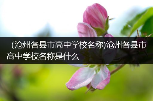 （沧州各县市高中学校名称)沧州各县市高中学校名称是什么