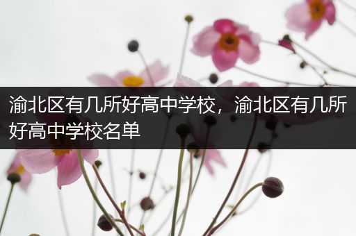 渝北区有几所好高中学校，渝北区有几所好高中学校名单