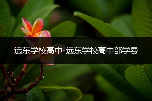 远东学校高中-远东学校高中部学费