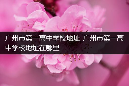 广州市第一高中学校地址_广州市第一高中学校地址在哪里